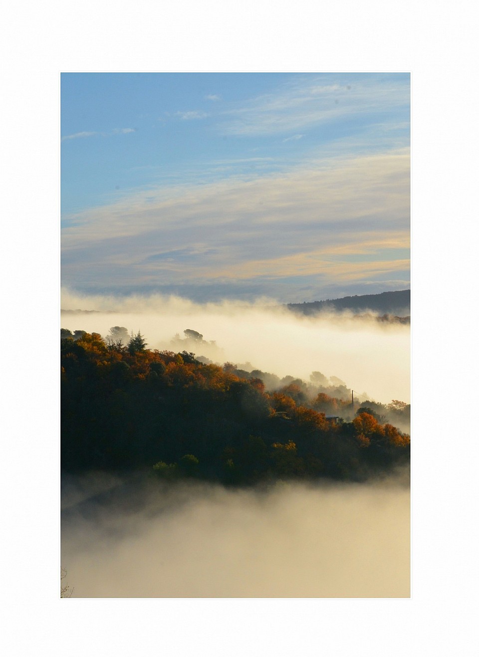 Brume automnale