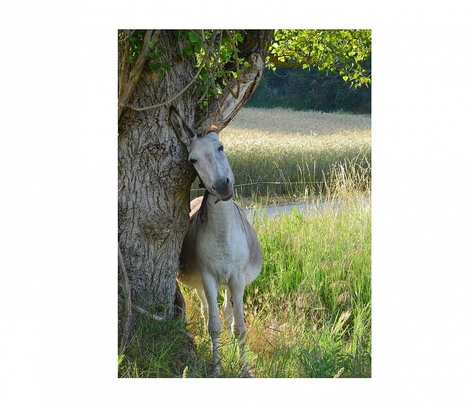 rencontre