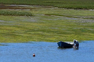Pêcheur