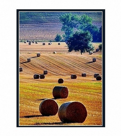 paysage