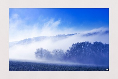 bleu