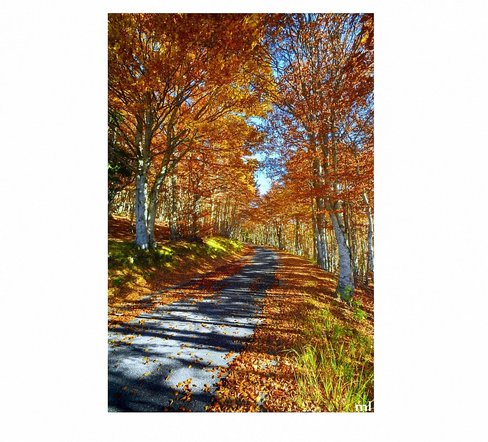 route