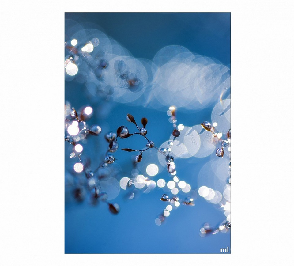 sur les eauxenveloppesedévoilentde petits instants d’émerveillement