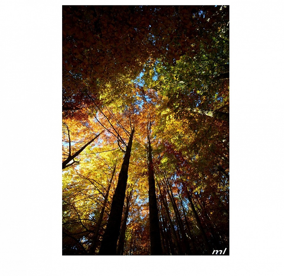 @MathieuLeduc
