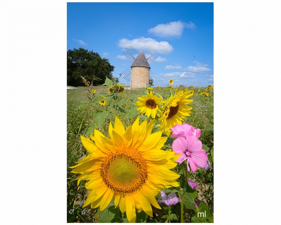 Moulin