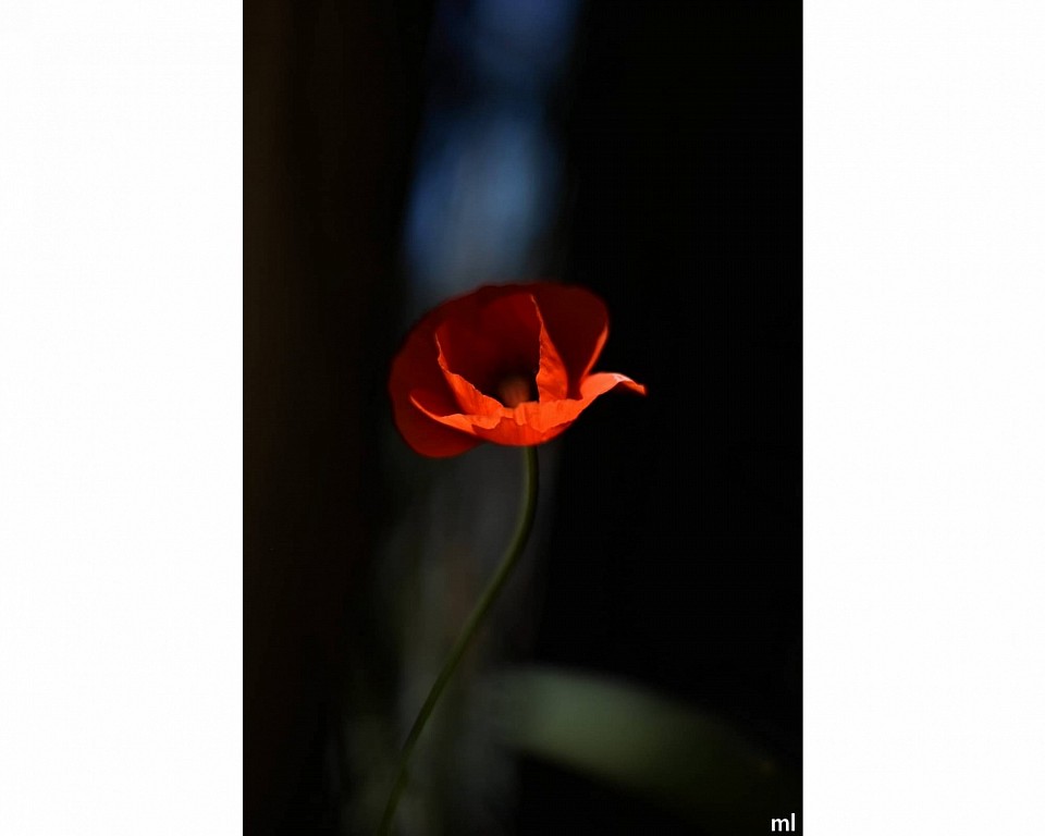 @MathieuLeduc