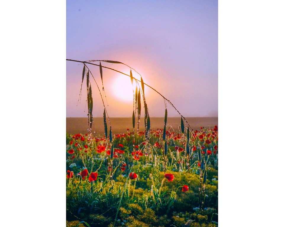 lever de soleil