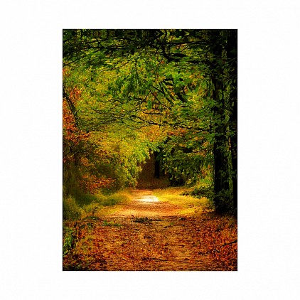 chemin
